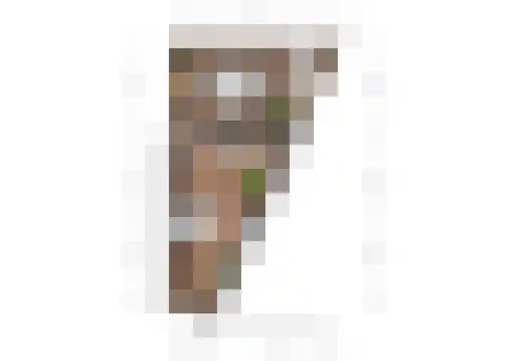 Ceres 19 Oostburg thumbnail 21