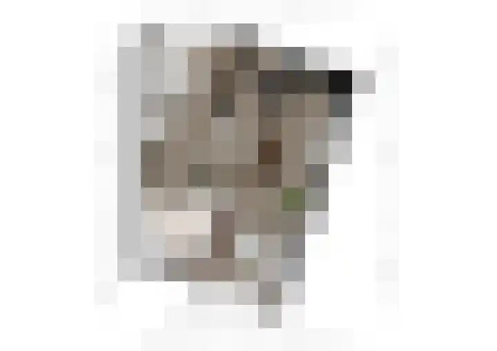 Ceres 19 Oostburg thumbnail 22