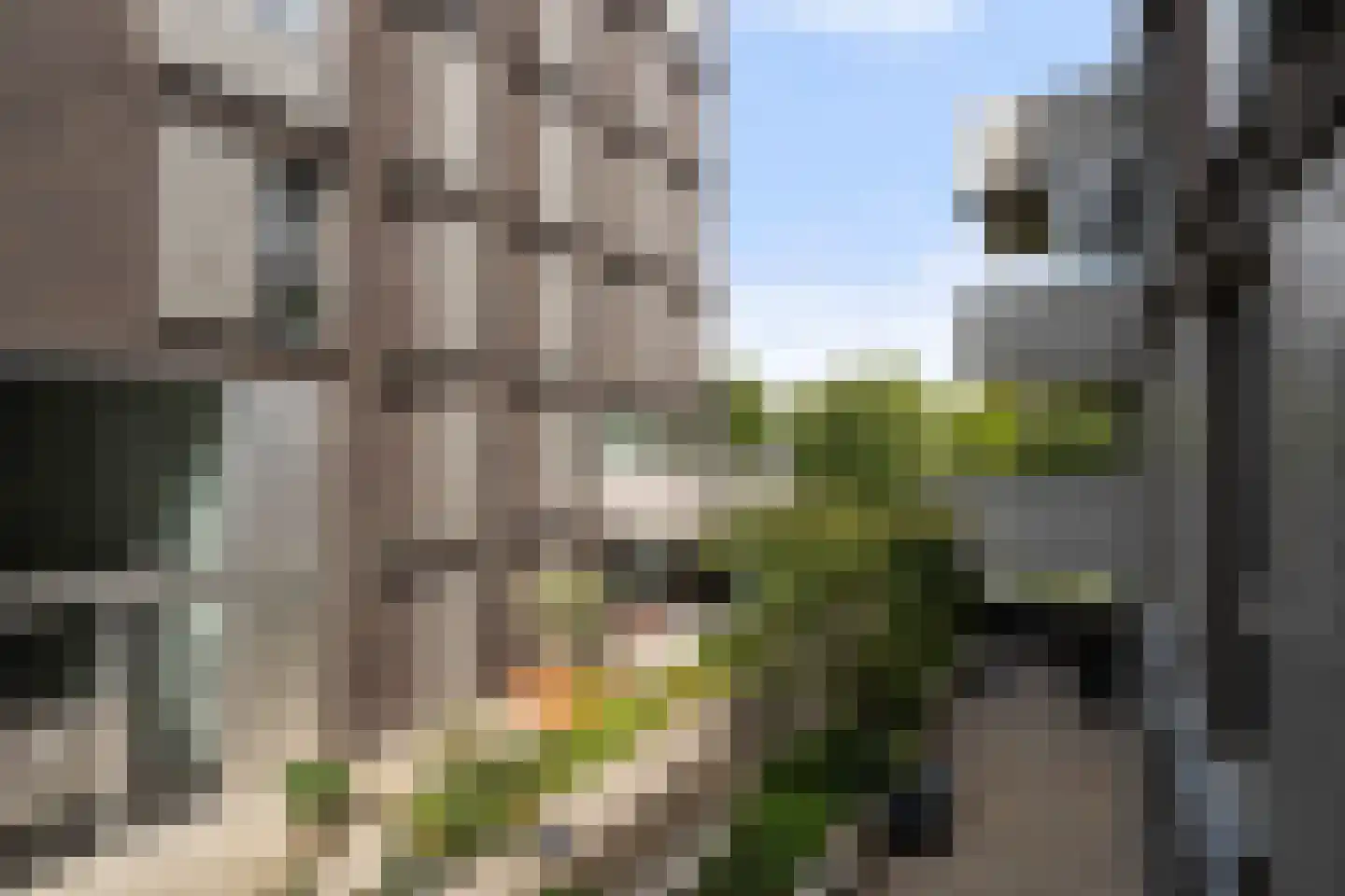 Ceres 32 Weert thumbnail 5