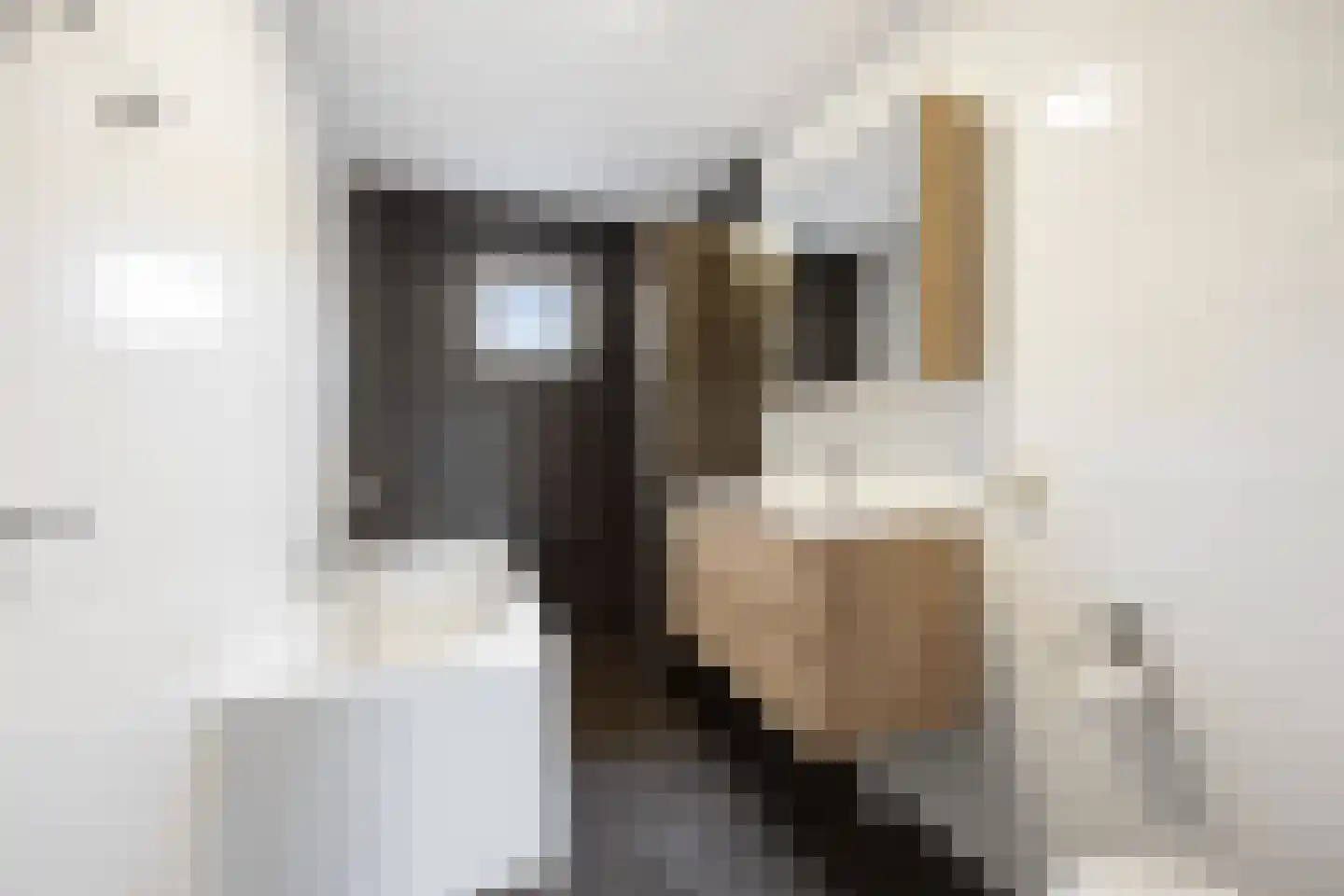 Ceres 44 Bemmel thumbnail 20