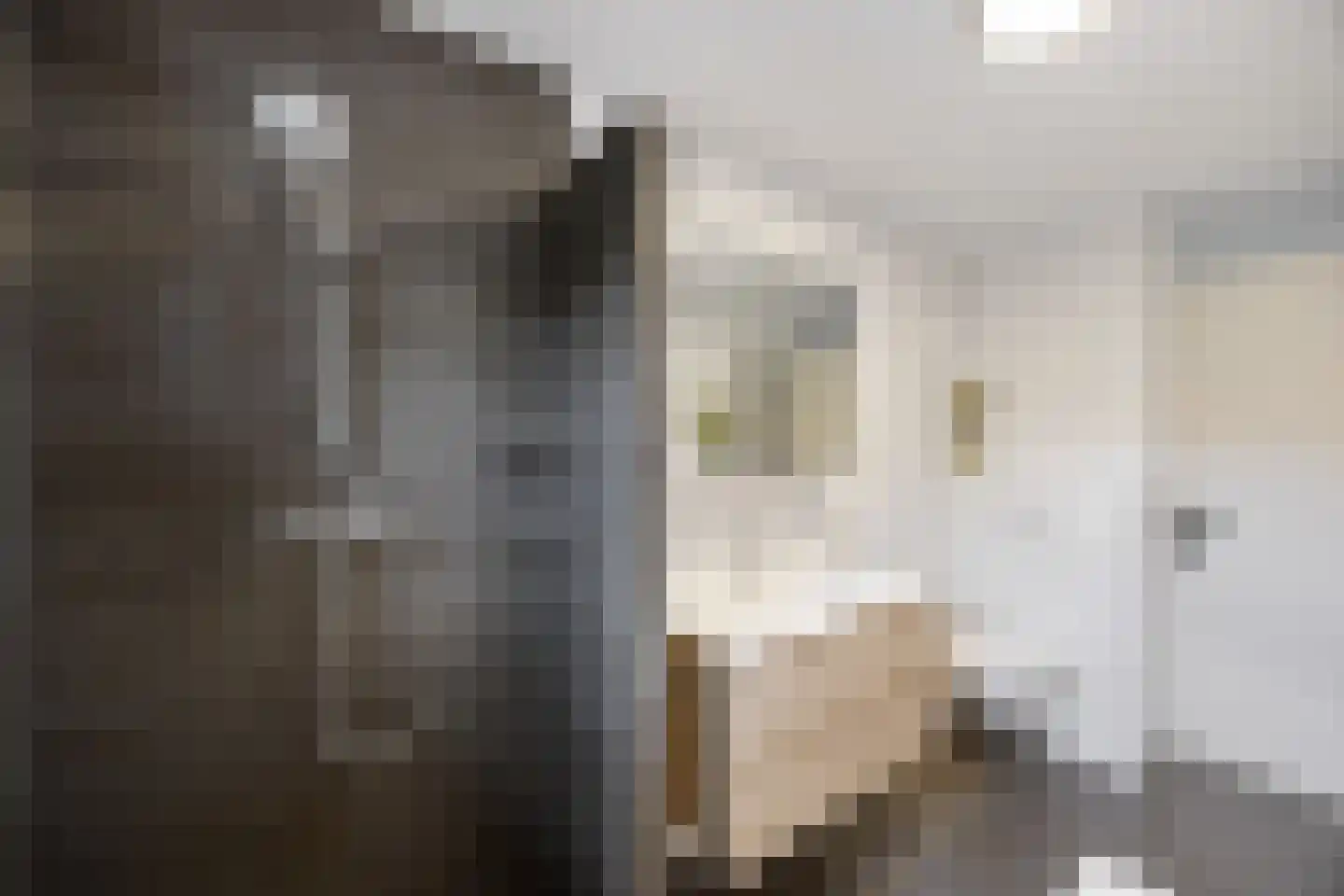 Ceres 44 Bemmel thumbnail 21