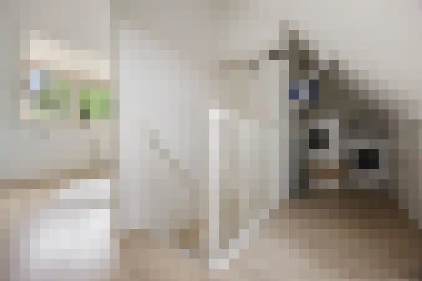 Ceres 44 Bemmel thumbnail 23