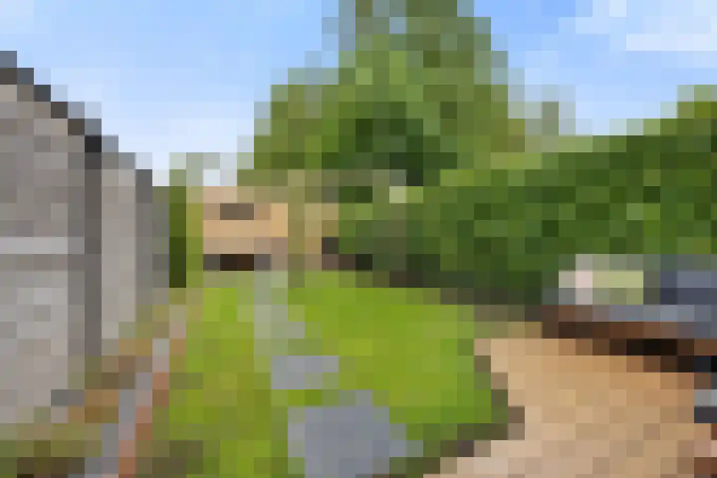 Ceres 44 Bemmel thumbnail 9