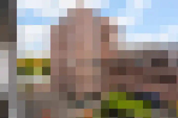 Ceres 60 Weert thumbnail 33