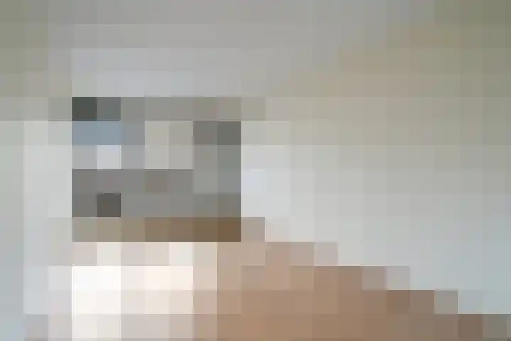 Ceres 60 Weert thumbnail 4