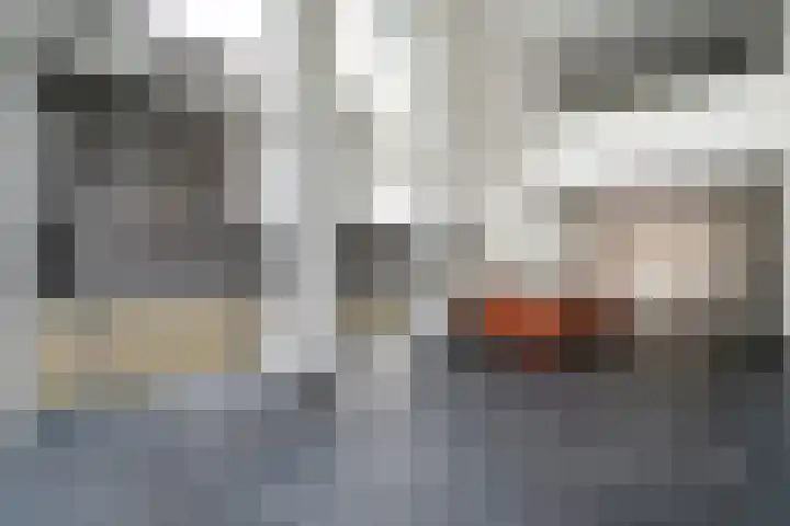 Ceres 60 Weert thumbnail 9