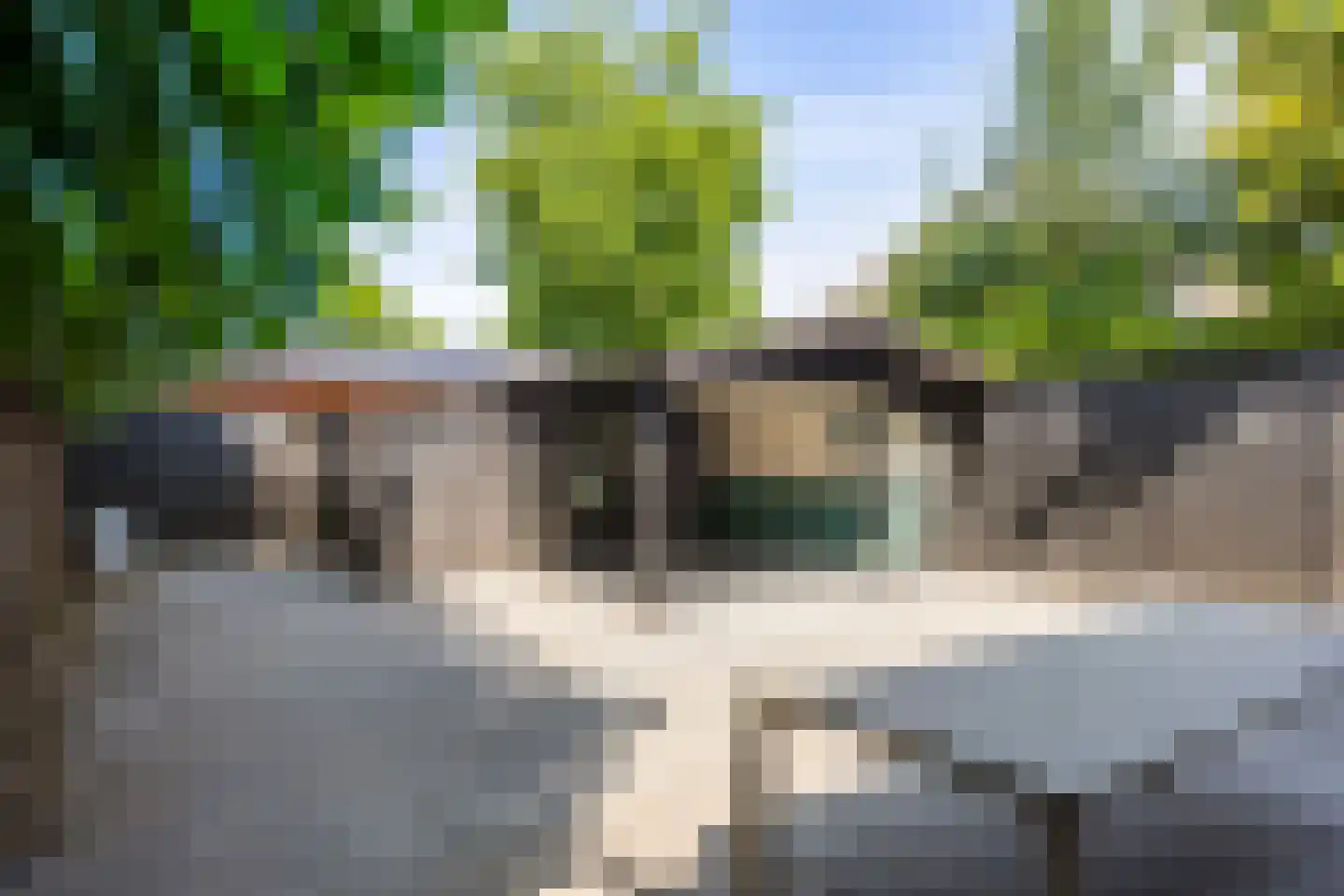 Ceres 79 Bemmel thumbnail 24