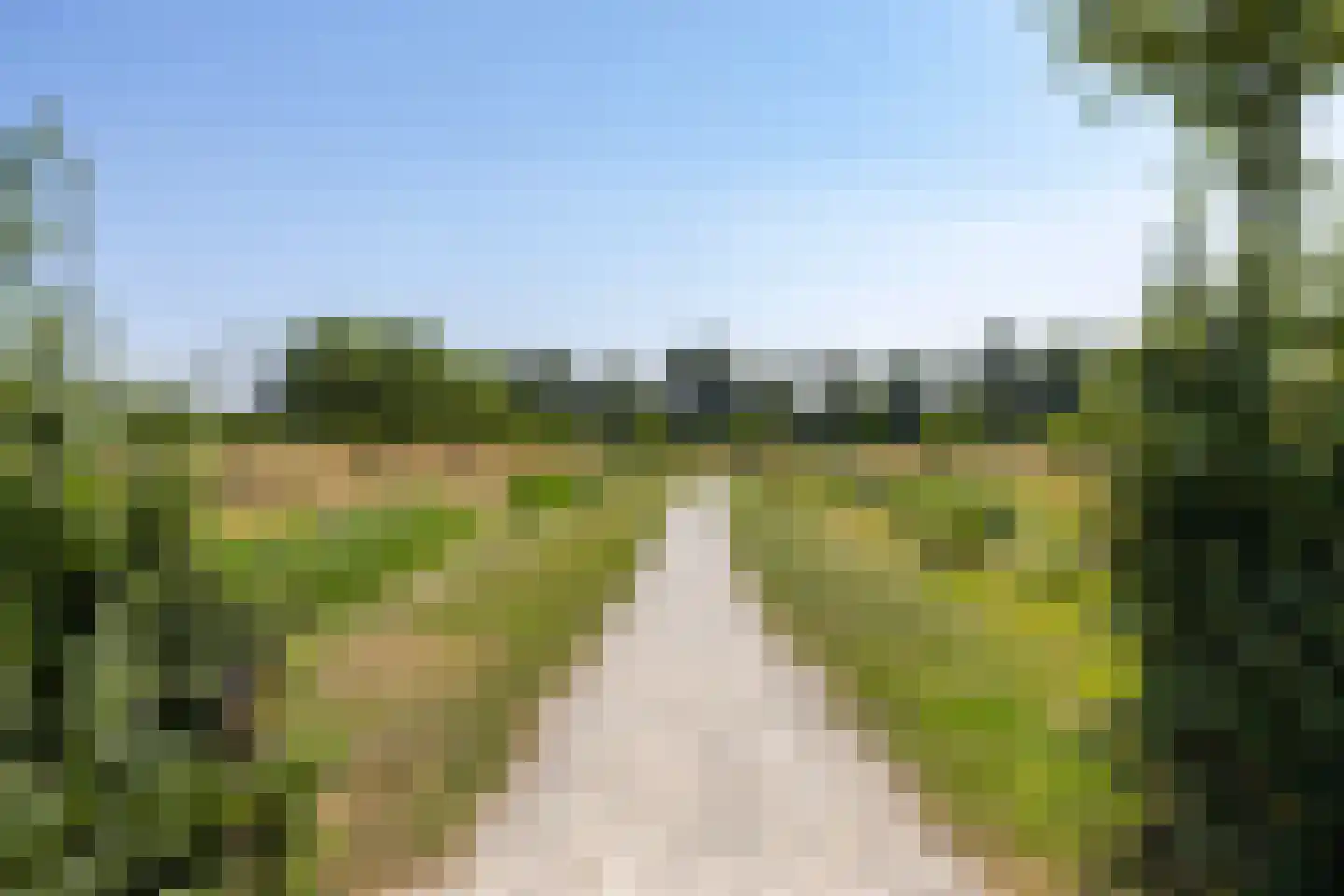 Ceres 79 Bemmel thumbnail 44