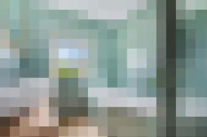 Ceres 84 Bemmel thumbnail 27