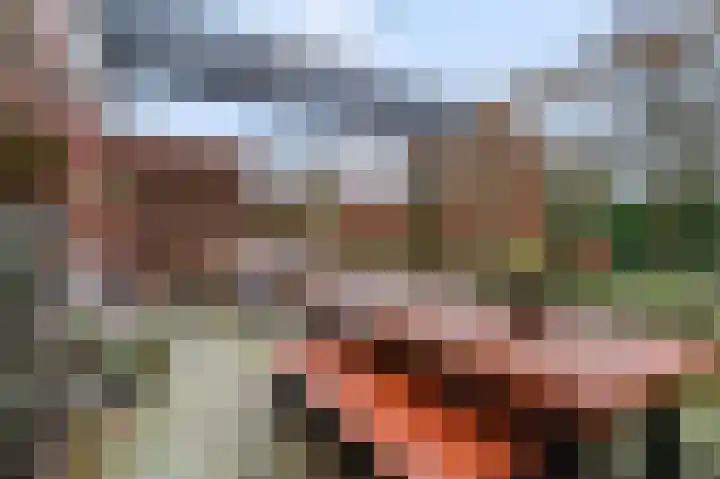 Ceres 84 Bemmel thumbnail 39
