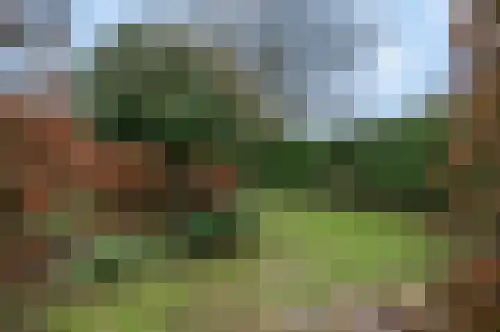 Ceres 84 Bemmel thumbnail 42
