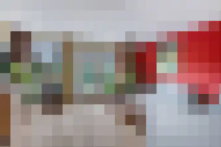 Ceres 84 Bemmel thumbnail 7