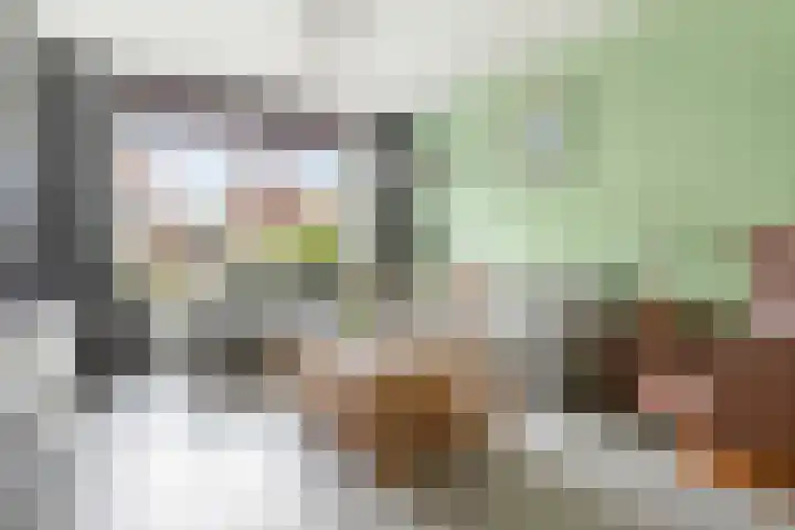 Ceresakker 11 Bedum thumbnail 11