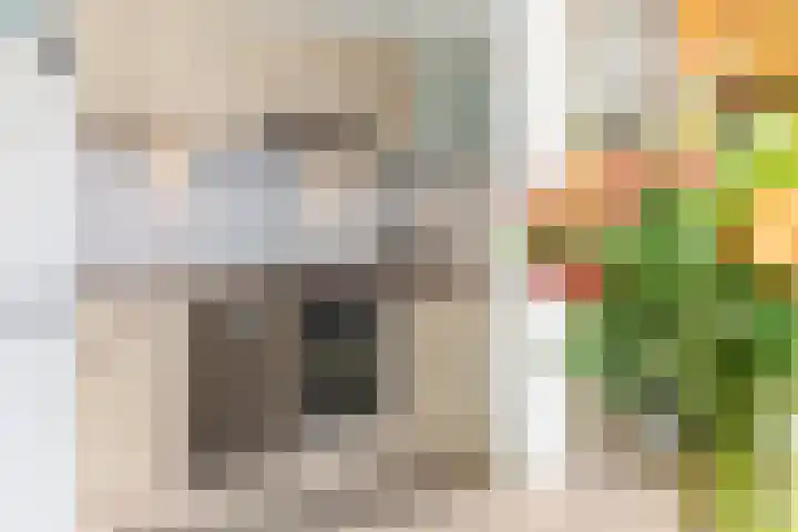 Ceresakker 11 Bedum thumbnail 19