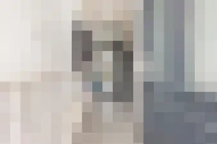 Ceresakker 11 Bedum thumbnail 9