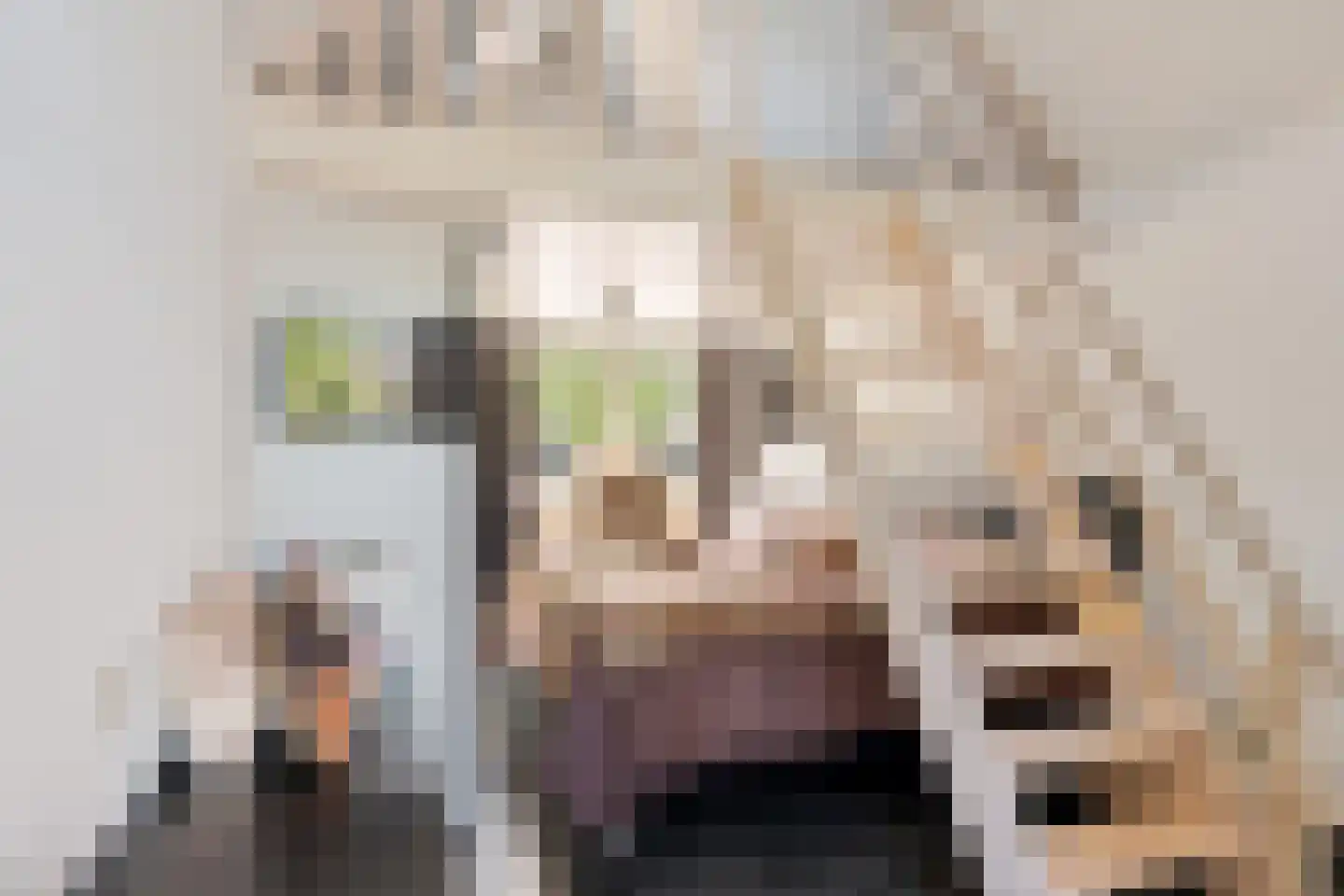 Cereskade 33 Stadskanaal thumbnail 31
