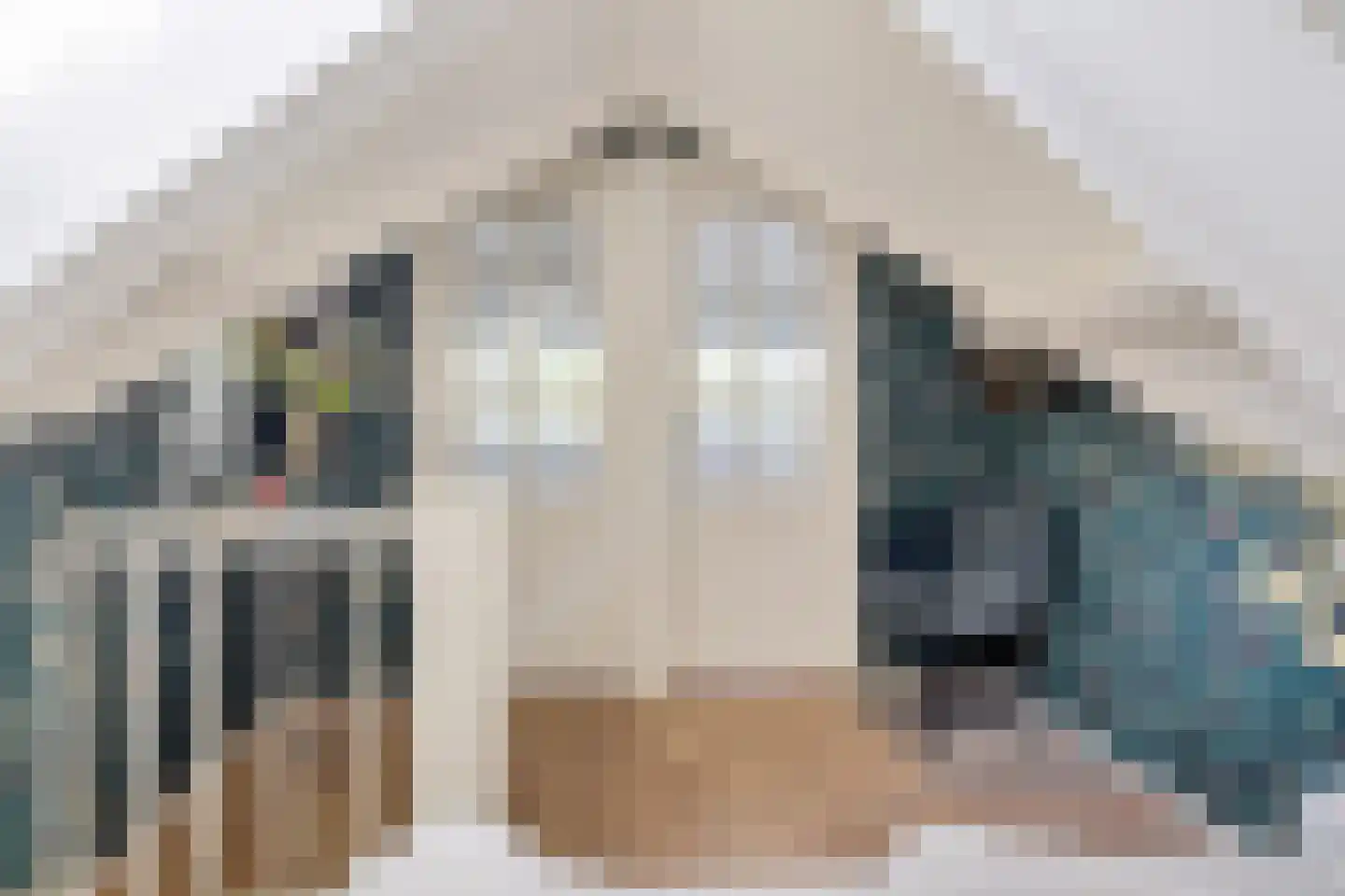 Cereskade 33 Stadskanaal thumbnail 35