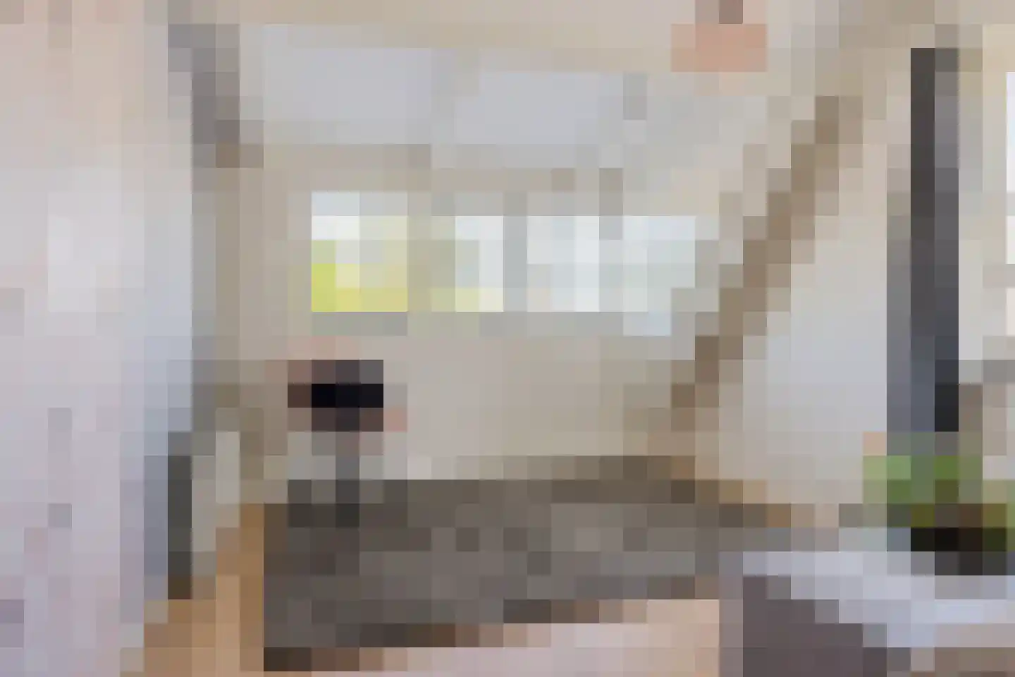 Cereskade 33 Stadskanaal thumbnail 39
