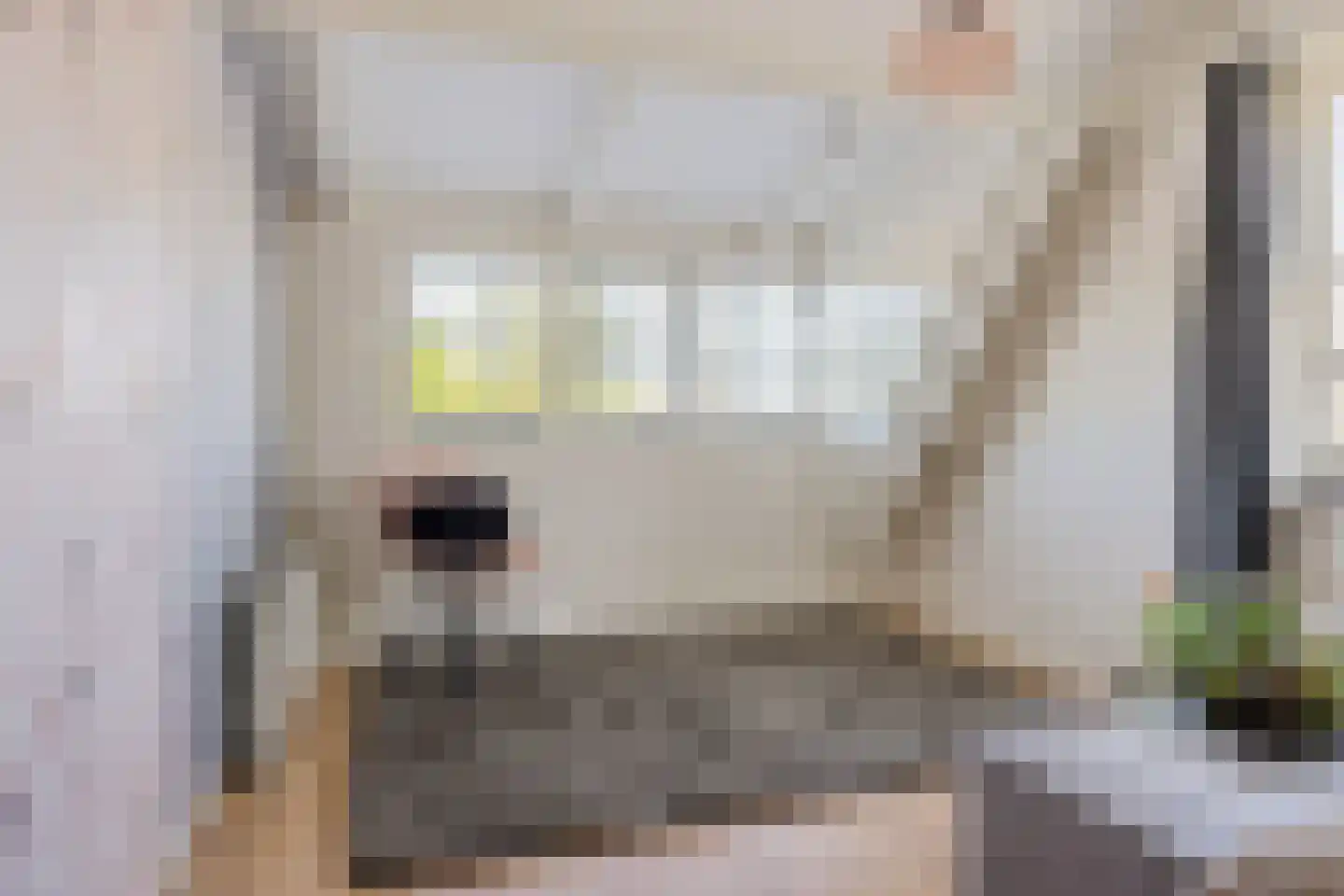 Cereskade 33 Stadskanaal thumbnail 39