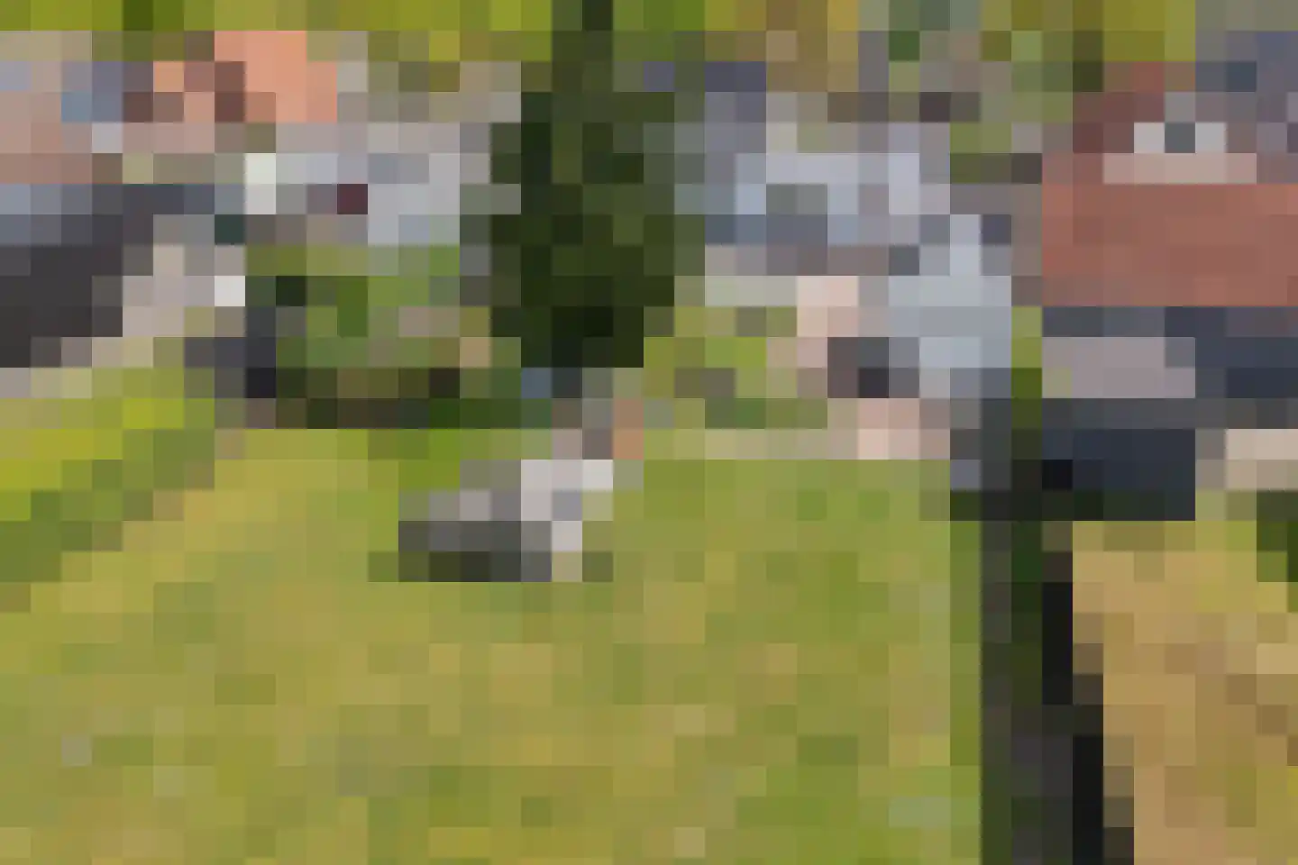 Cereskade 33 Stadskanaal thumbnail 49