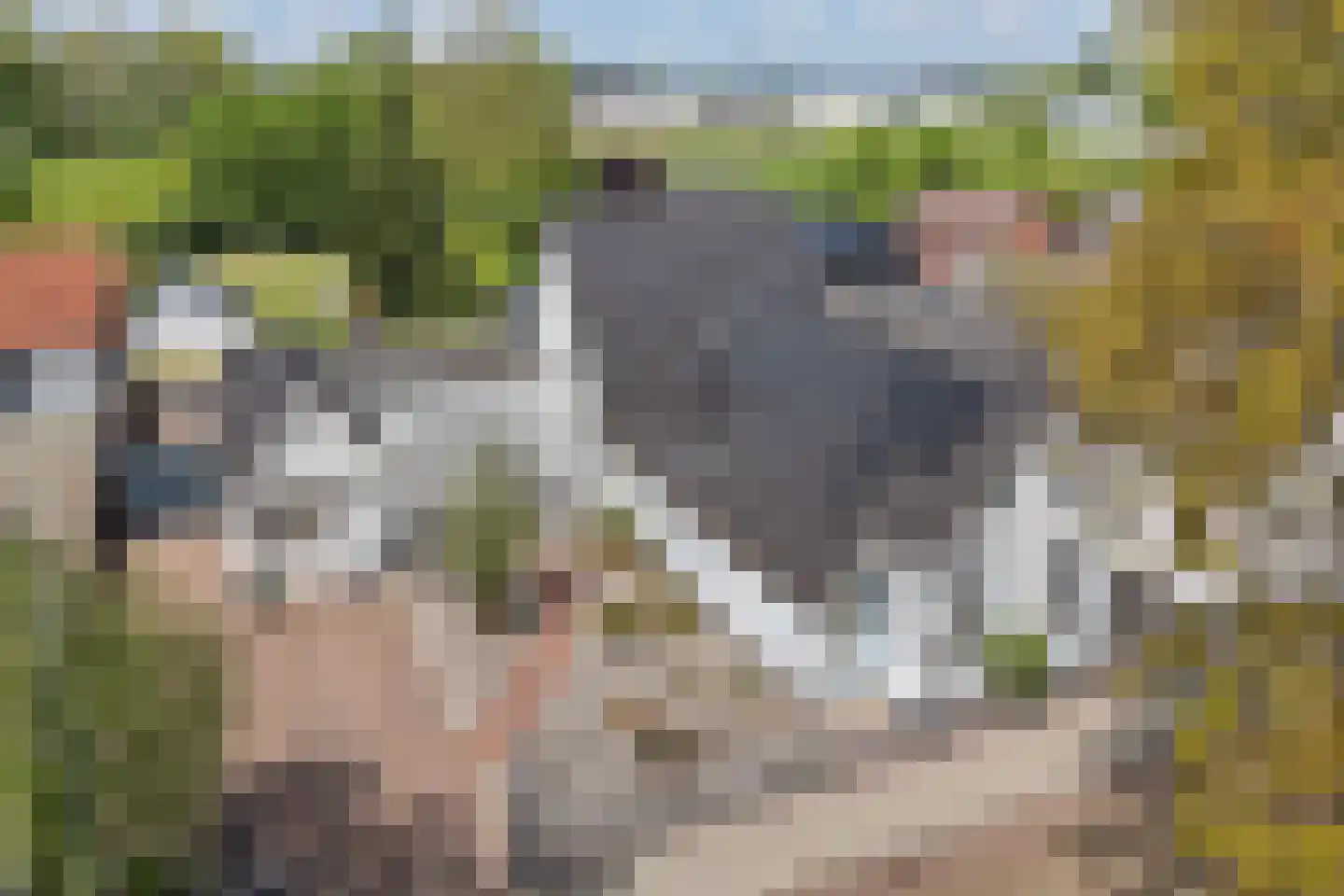 Cereskade 33 Stadskanaal thumbnail 5
