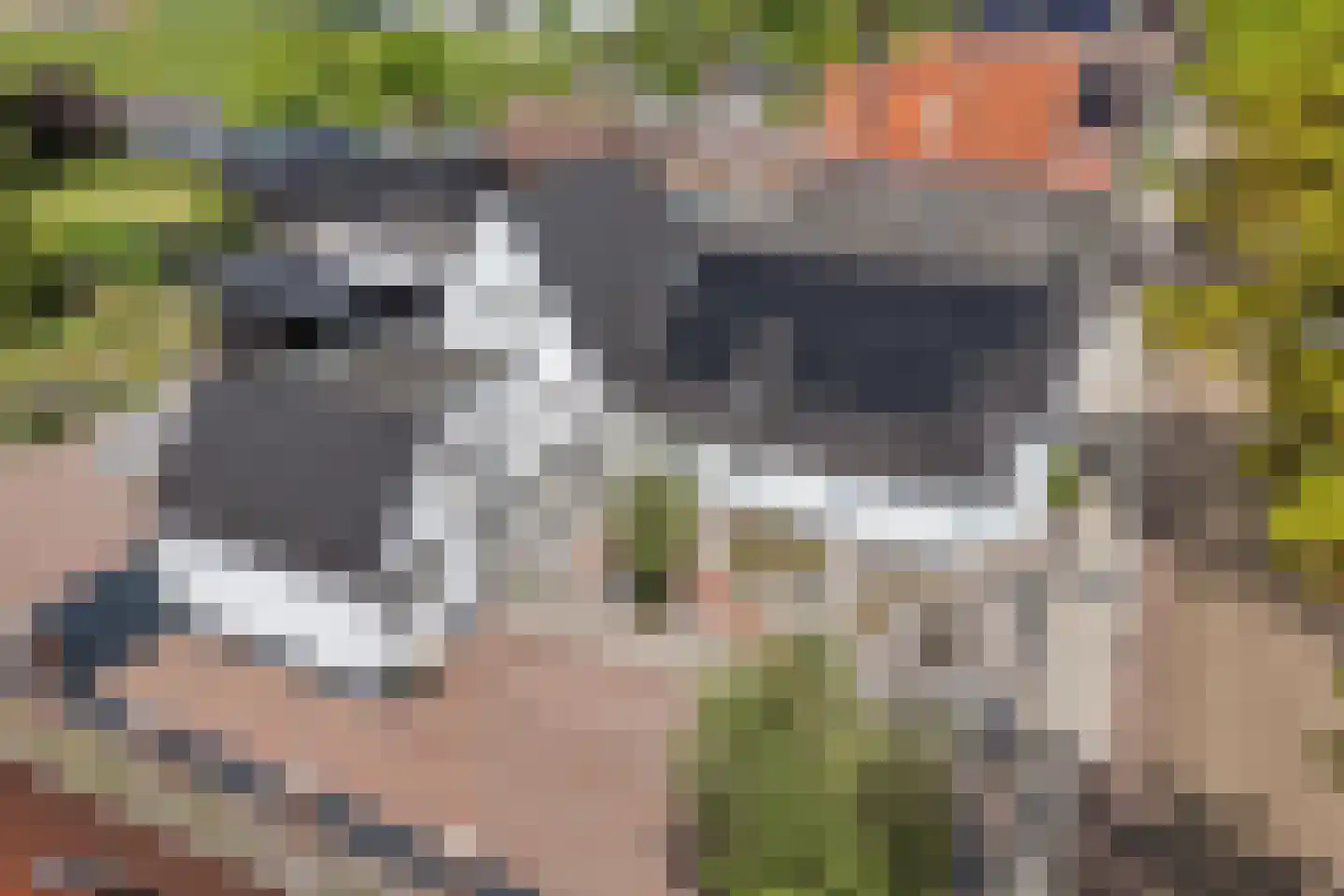 Cereskade 33 Stadskanaal thumbnail 9