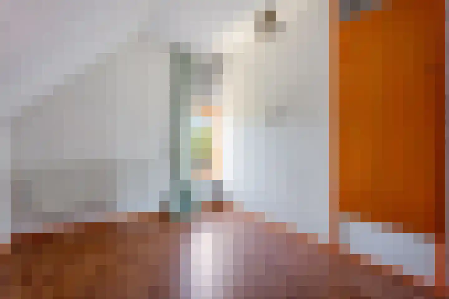 Cereskade 36 Stadskanaal thumbnail 29