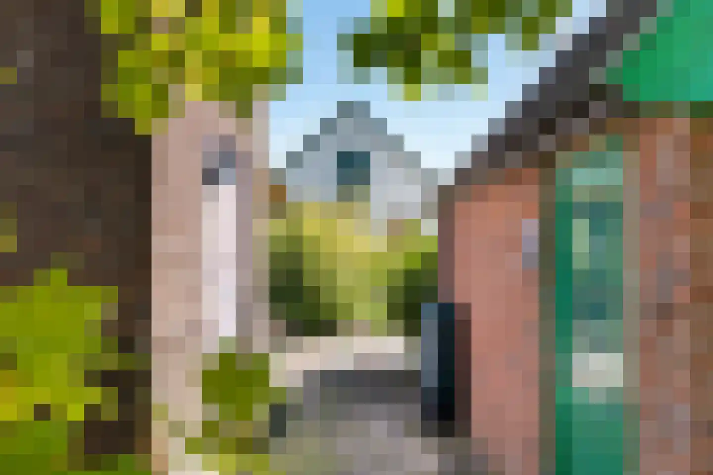 Cereskade 36 Stadskanaal thumbnail 42
