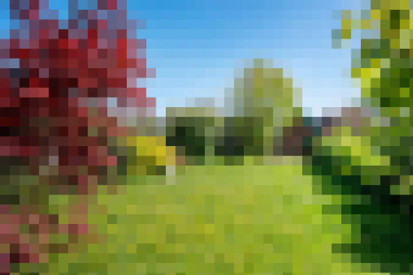 Cereskade 36 Stadskanaal thumbnail 45