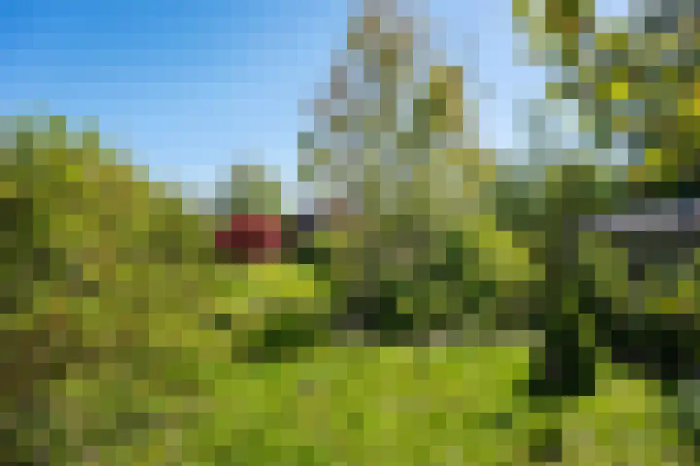 Cereskade 36 Stadskanaal thumbnail 47