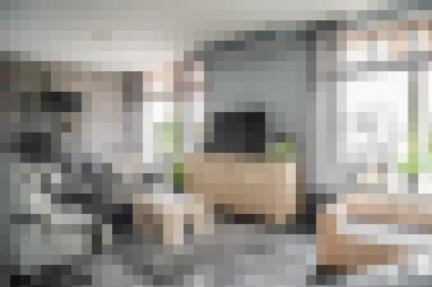 Cereskade 41 Stadskanaal thumbnail 17
