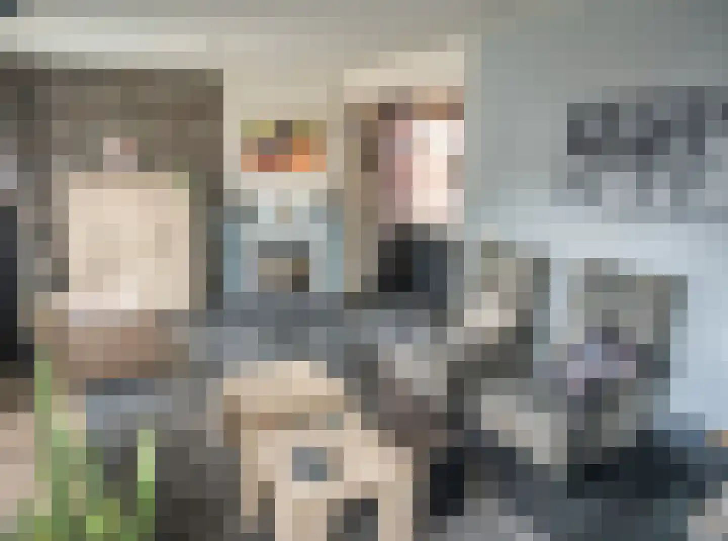 Cereskade 41 Stadskanaal thumbnail 19