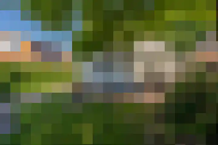 Cereskade 60 Stadskanaal thumbnail 34
