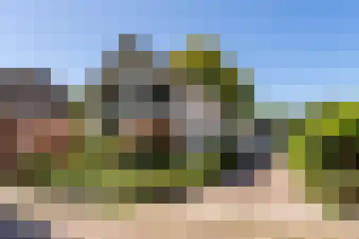 Cereskade 60 Stadskanaal thumbnail 38