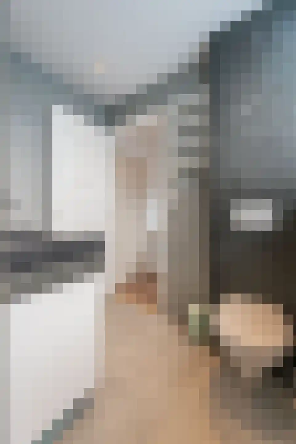 Cereslaan 101 Bussum thumbnail 22