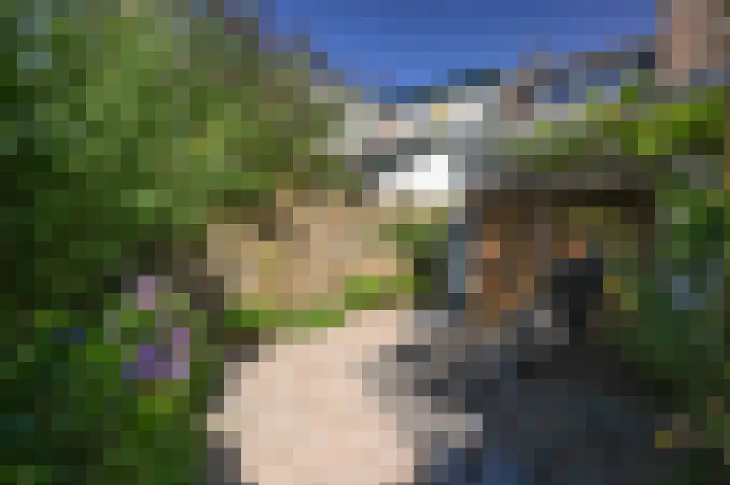 Cereslaan 11 Bussum thumbnail 17