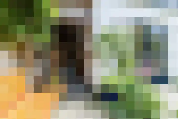 Cereslaan 24 Bussum thumbnail 30