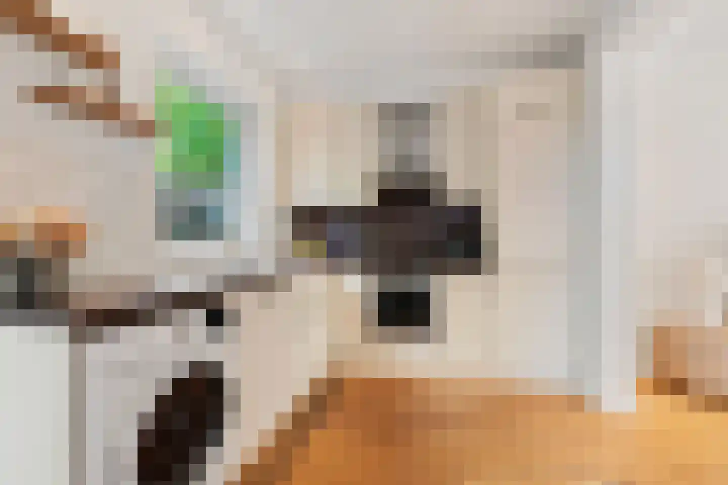 Cereslaan 28 Bussum thumbnail 12