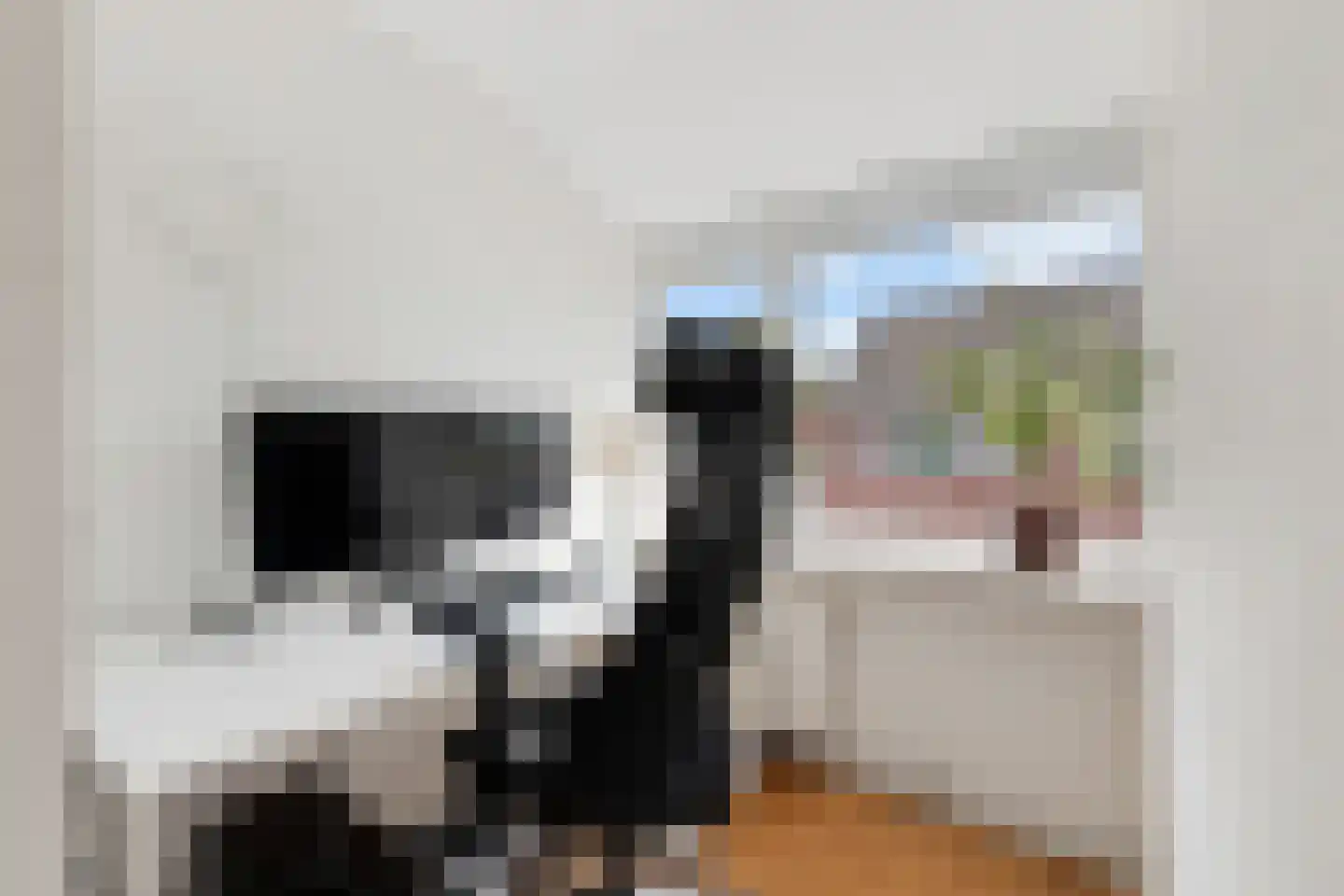 Cereslaan 28 Bussum thumbnail 29
