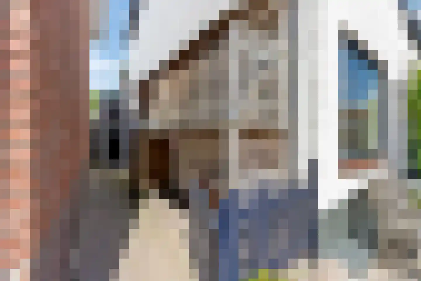 Cereslaan 28 Bussum thumbnail 32