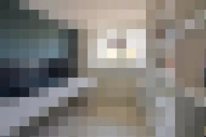Cereslaan 3 Bussum thumbnail 13