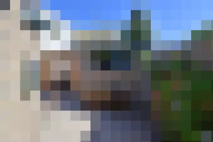 Cereslaan 3 Bussum thumbnail 17