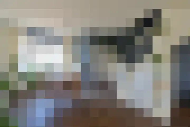 Cereslaan 3 Bussum thumbnail 4