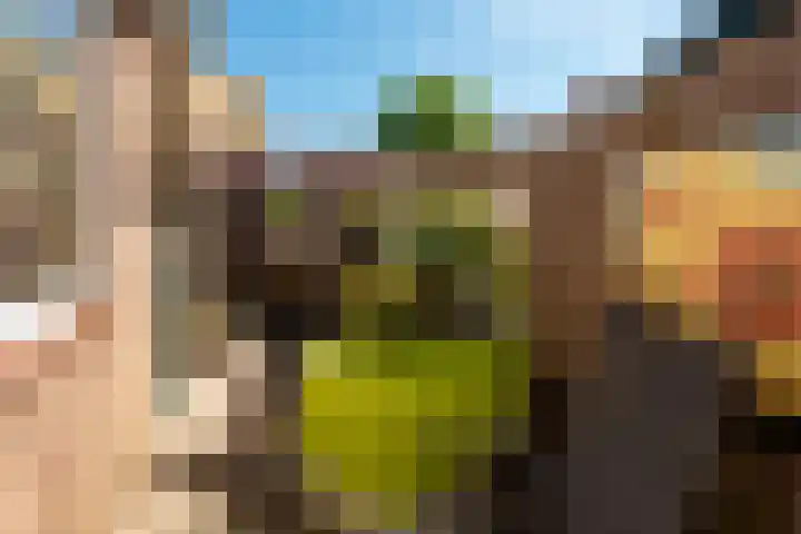 Cereslaan 73 Bussum thumbnail 13