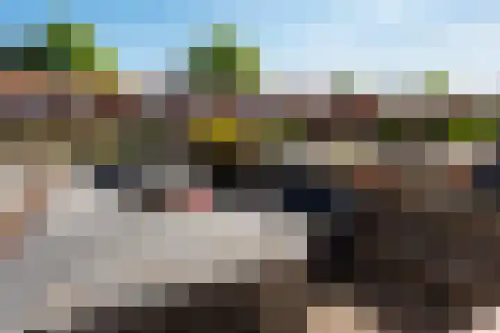 Cereslaan 73 Bussum thumbnail 22