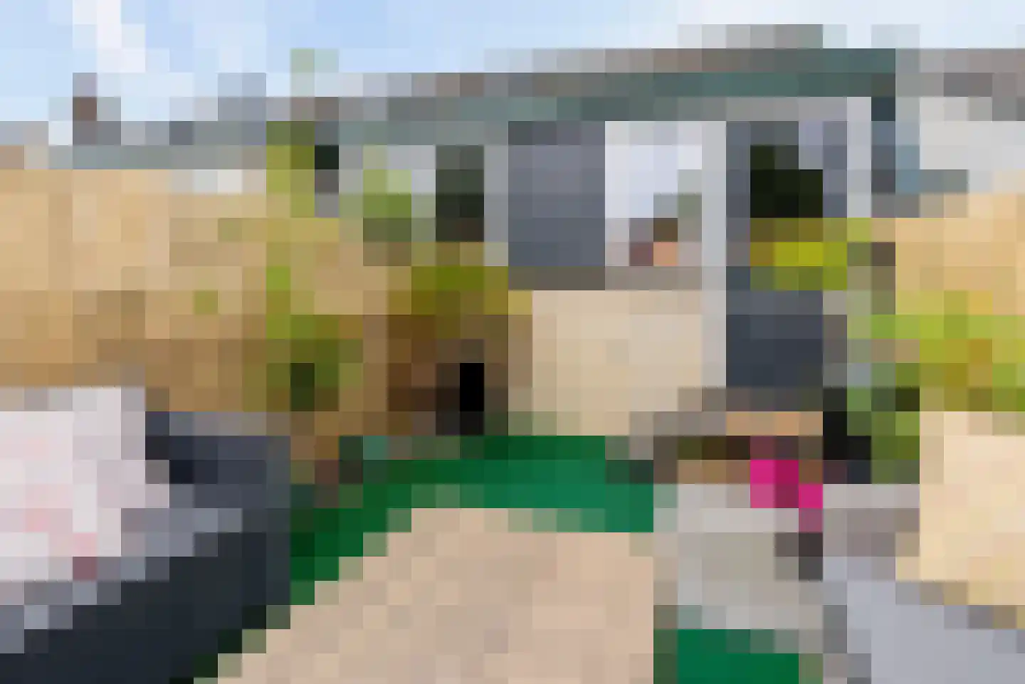 Cereslaan 73 Bussum thumbnail 37