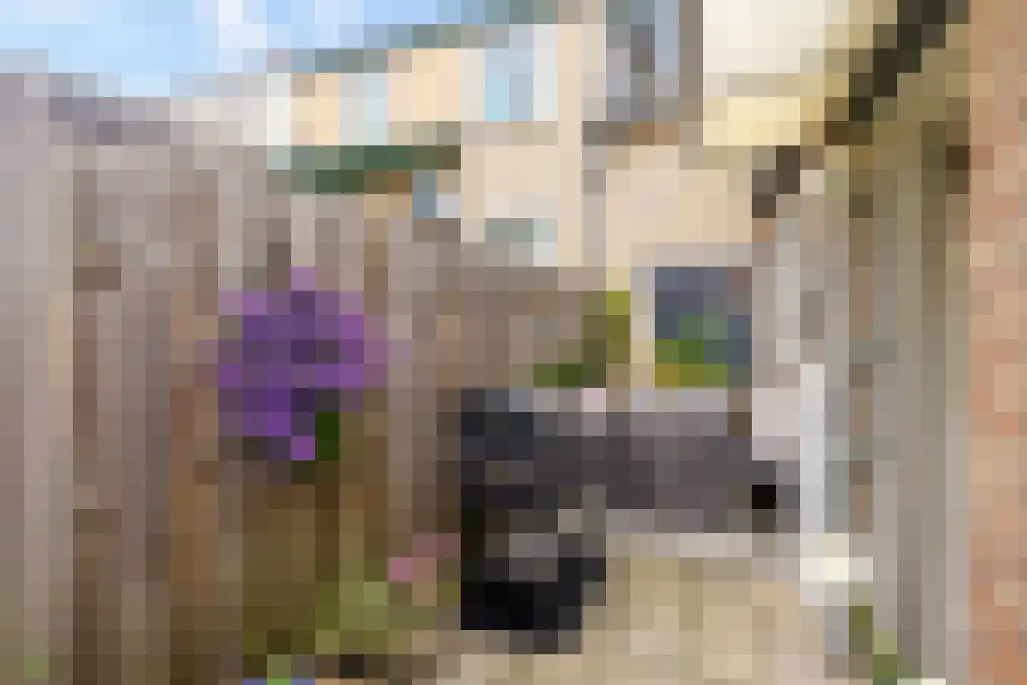Cereslaan 73 Bussum thumbnail 46