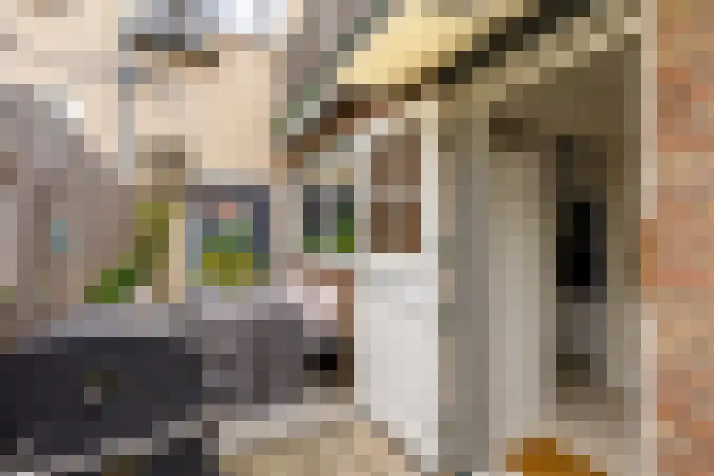 Cereslaan 73 Bussum thumbnail 47