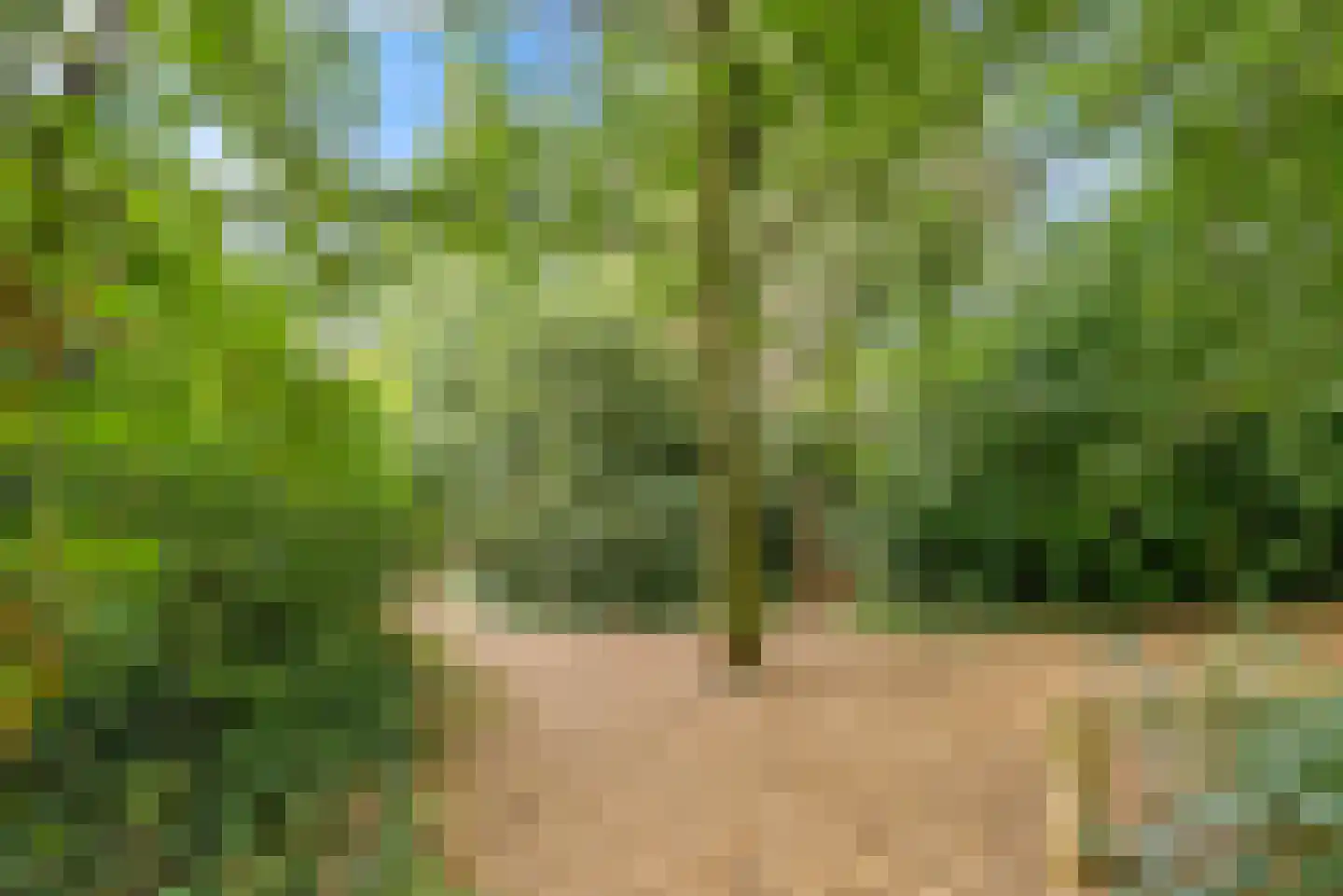 Cereslaan 73 Bussum thumbnail 54