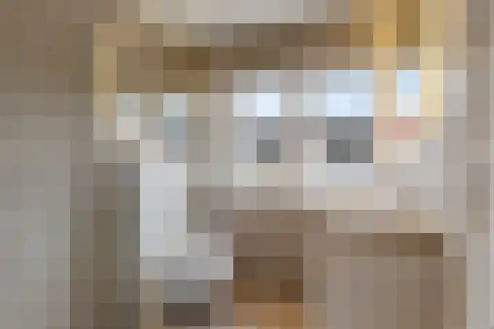 Cereslaan 8 Bussum thumbnail 14